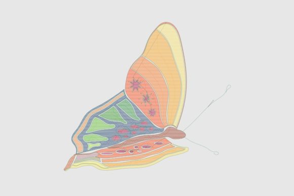Bright November Butterfly: A Designer’s Business Review